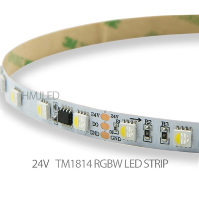 TM1814 RGBW 60LEDs/m DC24V IP20 LED strip for Bars and KTV